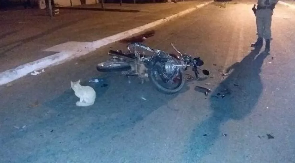 Preocupante: Tocantins registra mais de 400 acidentes com motociclistas em 2022