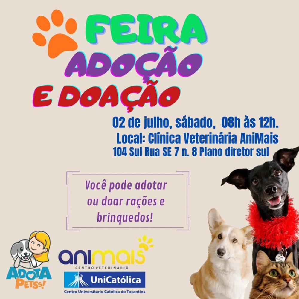 Em Palmas, feira para adoção de cães e gatos acontece neste sábado, 02