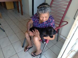 Cadelinha que ajuda idosa a superar a perda do filho desaparece em Palmas; família faz apelo para localizar o animal