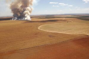 Incêndio de grandes proporções atinge área de lavoura em Luzimangues; veja imagens