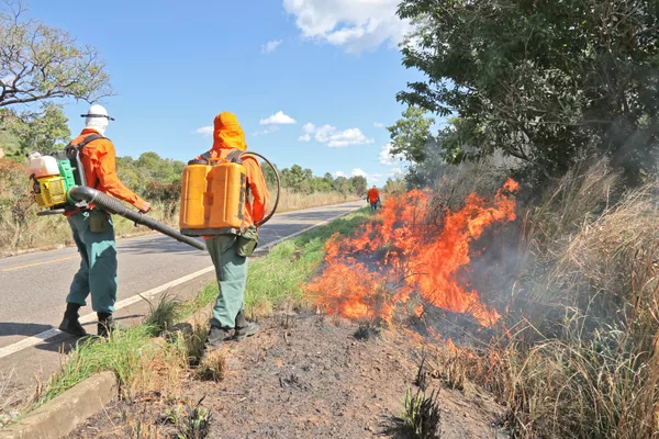 Naturatins suspende autorizações para realizar queimadas controladas no Estado