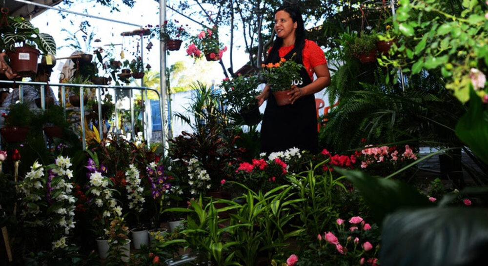 Feira Jardim Encantado: 5ª edição do evento acontece neste final de semana em Taquaruçu; saiba mais