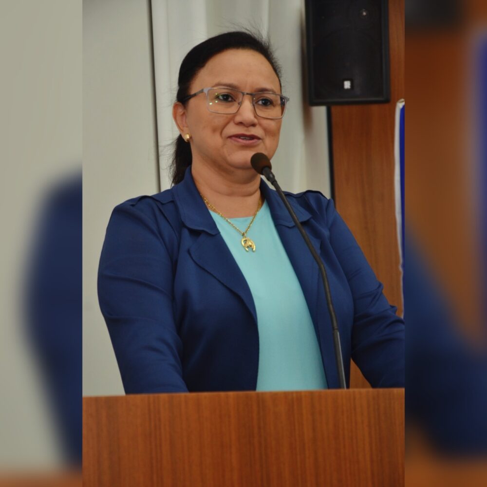 De autoria da vereadora professora Iolanda Castro, Câmara de Palmas realiza Sessão Solene em homenagem aos farmacêuticos do Tocantins