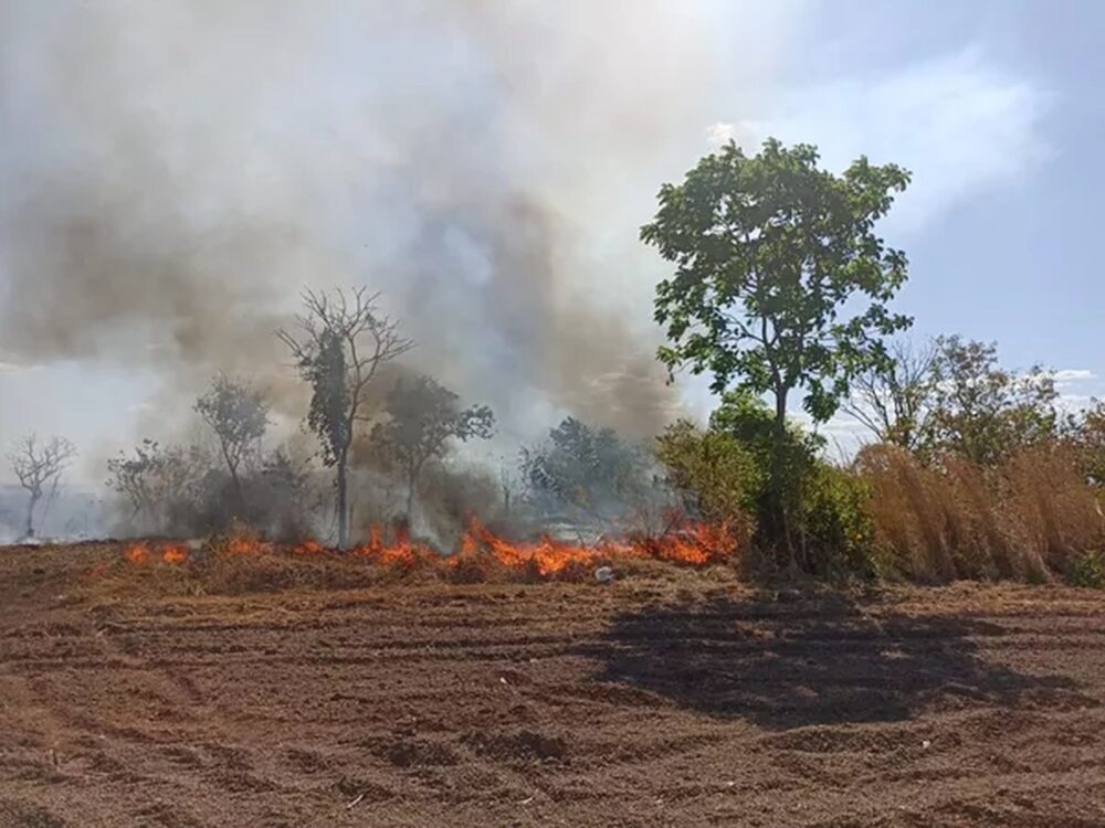 [Vídeo] Fogo atinge área verde na região norte de Palmas e destrói parte da vegetação