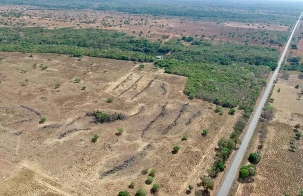 Multa de R$ 46 mil: Empresário é autuado por desmatar área sem licença no Tocantins