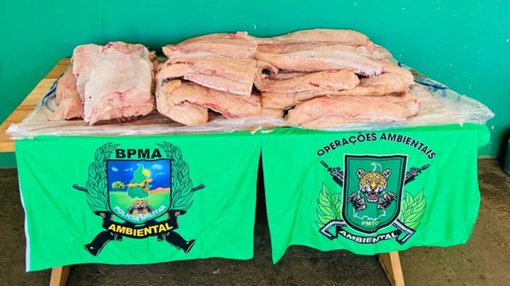 Mais de 200 kg de pescado são apreendidos e suspeito é autuado no valor de R$ 6,5 mil em Formoso do Araguaia
