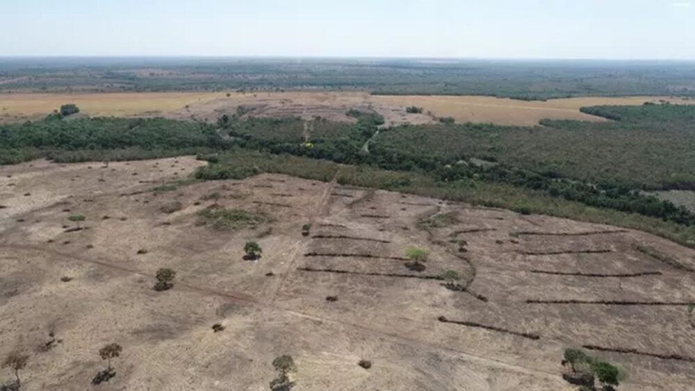 Após desmatar áreas de reserva legal em Formoso do Araguaia, fazendeiro é multado no valor de R$ 130 mil