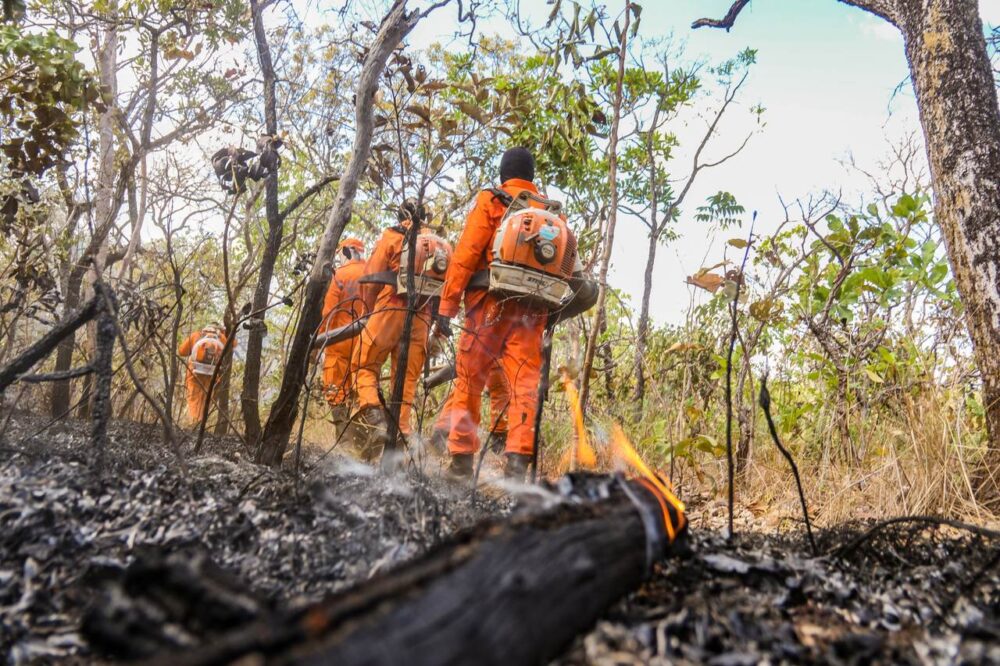 Força-Tarefa para combater as queimadas em Taquaruçu passa a contar com mais 30 bombeiros militares