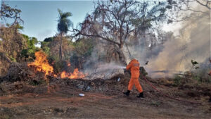 Incêndio na serra de Taquaruçu chega ao décimo dia e combate continua em meio ao Festival Gastronômico