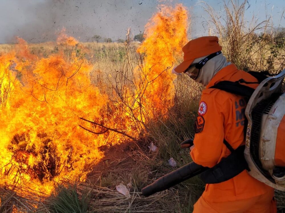 Combate a incêndio florestal, em Taquaruçu, é mantido com atuação de Força-Tarefa dos Bombeiros