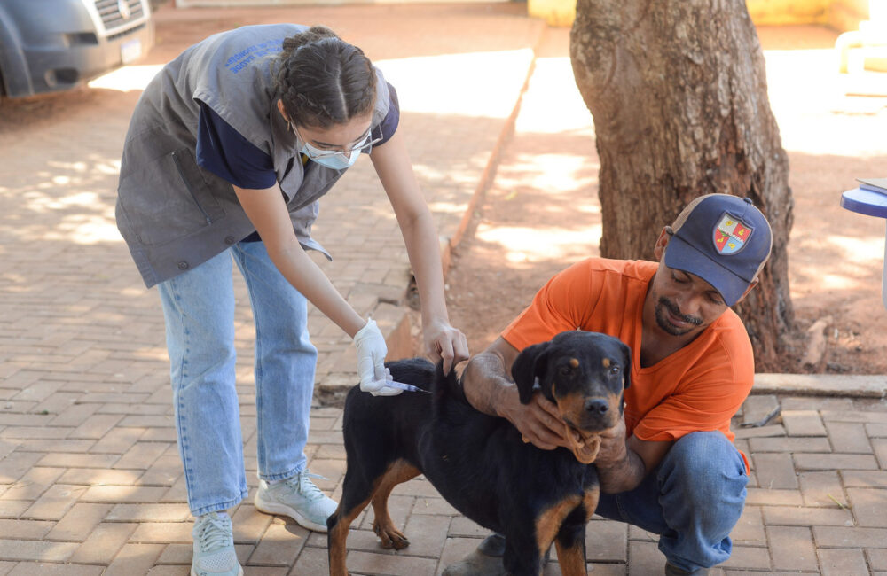 Vacinação de cães e gatos será realizada em 36 pontos de Palmas neste sábado, 17; confira os locais