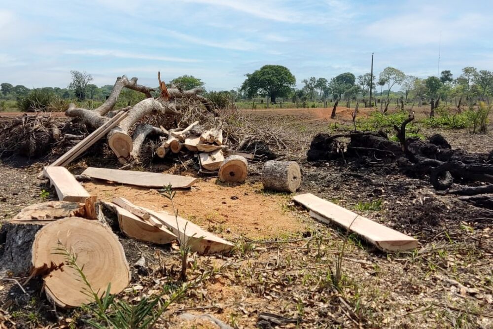 Ministério Público do Tocantins investiga mais de 230 propriedades rurais com suspeita de desmatamento legal