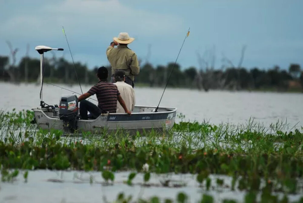 Atenção pescadores: Período da piracema no Tocantins começa a partir de 1º de novembro e atividade fica proibida em todo Estado