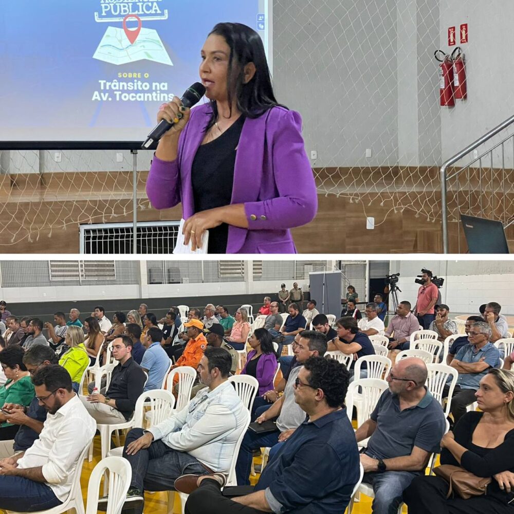 Durante Audiência Pública, deputada Vanda Monteiro defende solução imediata para Avenida Tocantins, em Taquaralto