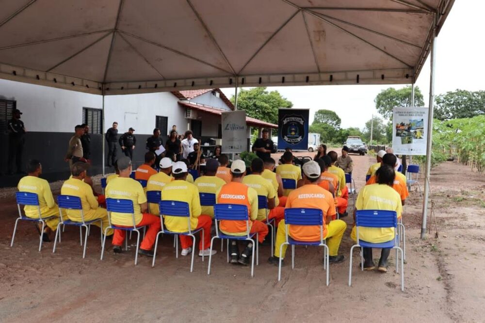 Mais de 20 custodiados conseguem diploma em cursos da Fazenda Agropecuária Penal de Cariri do Tocantins