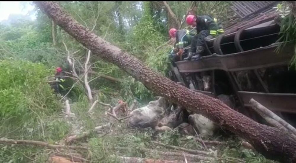 [Vídeo] Carreta que transportava vários bois tomba na ponte do córrego Capim Branco, zona rural de Paraíso do Tocantins