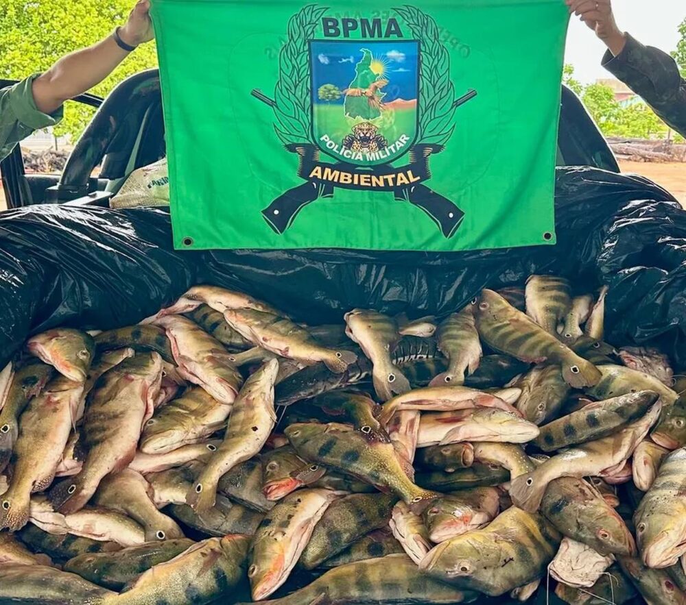 Pesca ilegal: homem é preso após ser flagrado com 760 kg de peixes pescados por indígenas na região da Ilha do Bananal