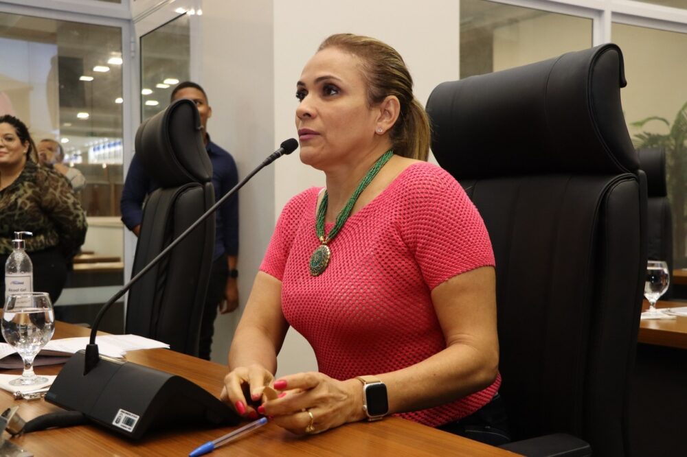 Vereadora Laudecy reclama sobre falta de investimento na Assistência Social em Palmas e em Políticas Públicas para mulheres