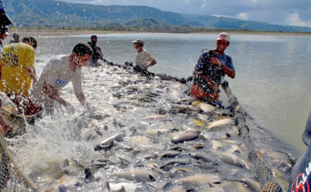 Empresários de Israel interessados em investir na piscicultura no Tocantins são recebidos pela Secretaria de Meio Ambiente