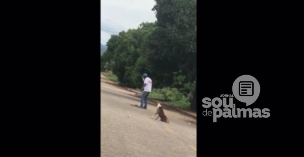 CRUELDADE: Vídeo flagra homem matando filhote de cachorro a pauladas no interior do Tocantins; assista