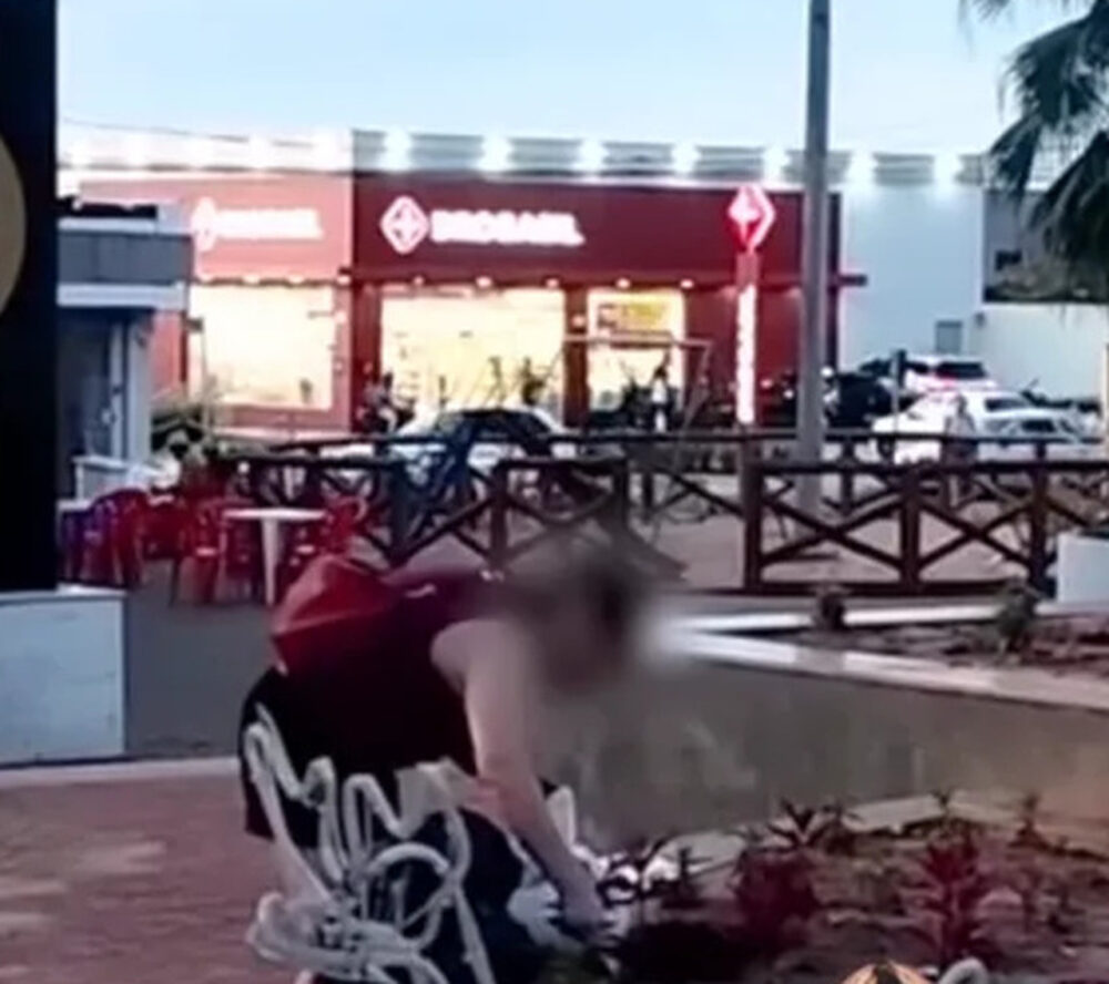 Pega na botija: Mulher é flagrada pegando adubo e danificando canteiro em Araguaína; ASSISTA