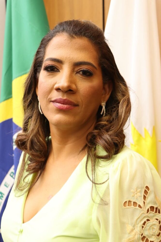 Vereadora Elaine Rocha reúne-se com Secretário da Casa Civil de Palmas