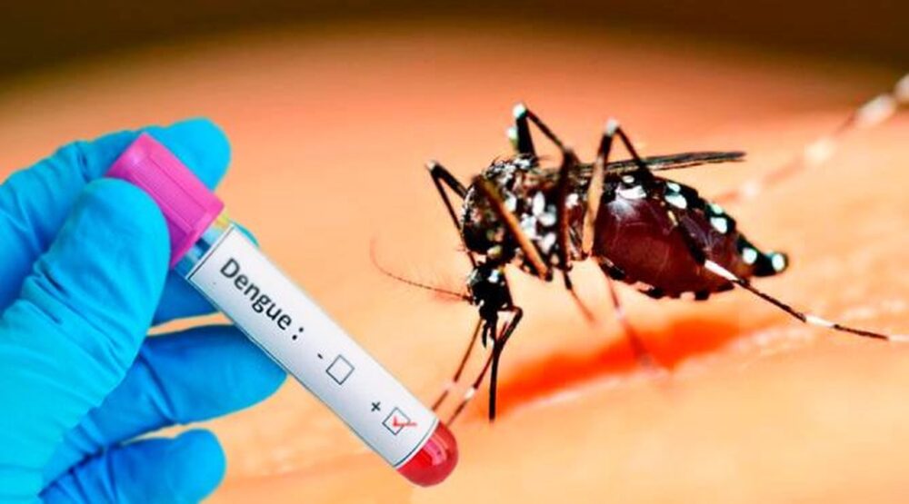 Palmas tem 154 casos prováveis de dengue na segunda semana de janeiro
