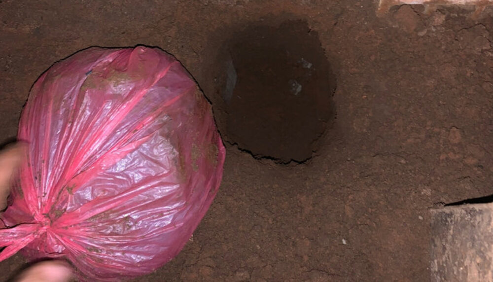 Dois jovens são presos por tráfico e polícia encontra drogas enterradas no quintal da avó de um deles em Tocantinópolis