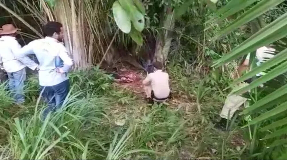 Após tentar laçar um boi, homem morre prensado pelo animal no Bico do Papagaio