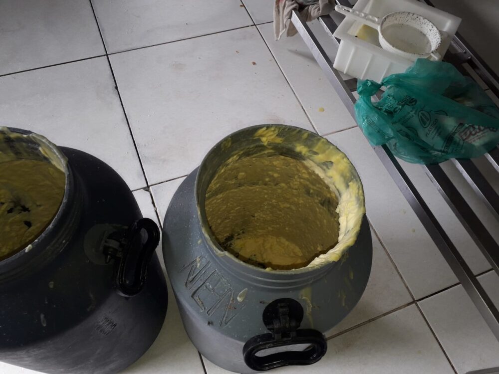 Mais de 3 mil quilos de queijos impróprios para consumo foram apreendidos durante operação da Adapec em Aragomina