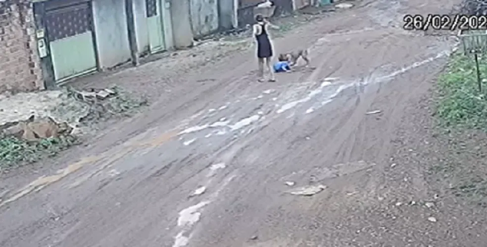 [VÍDEO] Cachorro foge de casa e ataca criança de três anos que passava em uma rua do setor Irmã Dulce, na região sul de Palmas