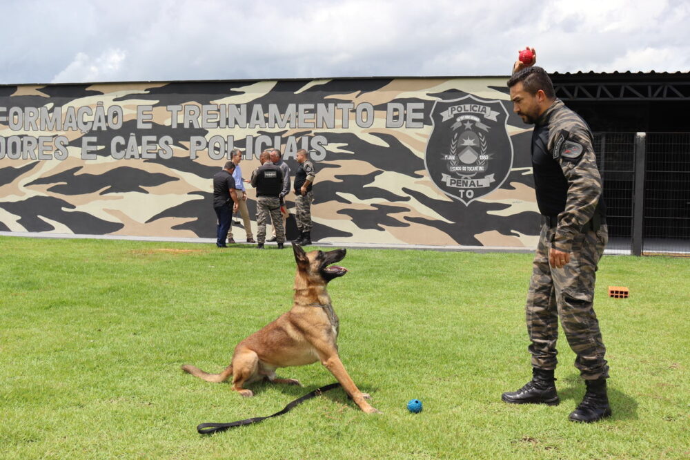 Centro de Formação e Treinamento de Operações e Cães Policiais é inaugurado pela Seciju em Palmas