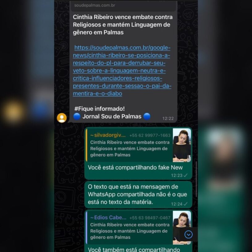 Jornal Sou de Palmas é vítima de fake news após ter um de seus conteúdos distorcido por propagadores de desinformação na Capital; entenda