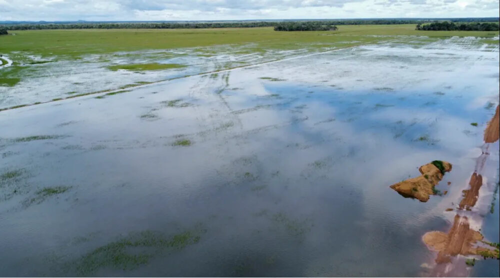 Em Lagoa da Confusão: Colheita de arroz é suspensa após alagamentos e 30 mil toneladas devem ser perdidas