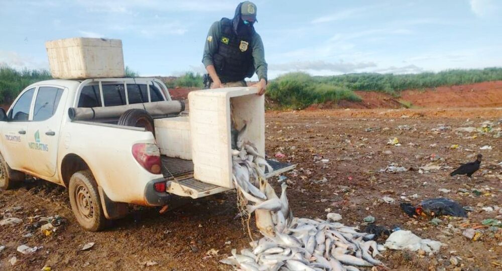 PESCA ILEGAL: Operação Malha fina do Naturatins apreende quase 1500 kg de peixes, mais de 11 mil metros de redes e duas armas no Estado; confira