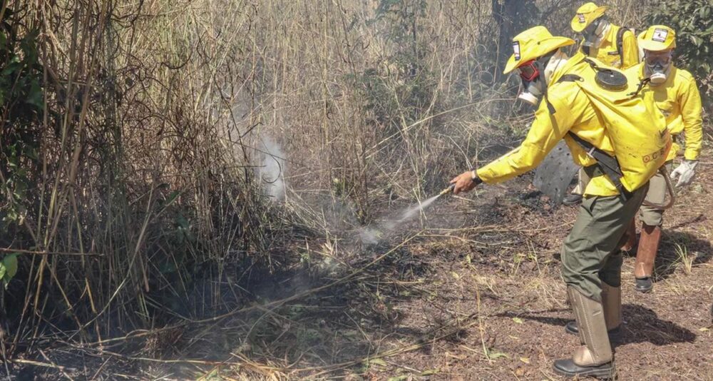 OPORTUNIDADE: Processo seletivo oferece mais de 55 vagas para brigadistas atuarem em incêndios florestais no Tocantins