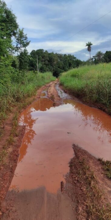 Crianças indígenas da Aldeia Brejinho estão há três meses sem ir às aulas por conta de buracos na estrada de Tocantinópolis impedirem acesso do transporte