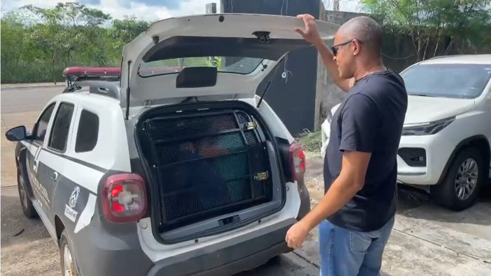 Operação da Polícia Civil no Distrito Federal aponta organização criminosa em Palmas; seis mandados de busca e apreensão foram cumpridos pela PC-TO