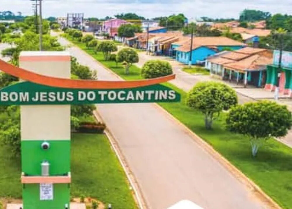 Ataque de abelhas causa a morte de trabalhador rural em Bom Jesus do Tocantins