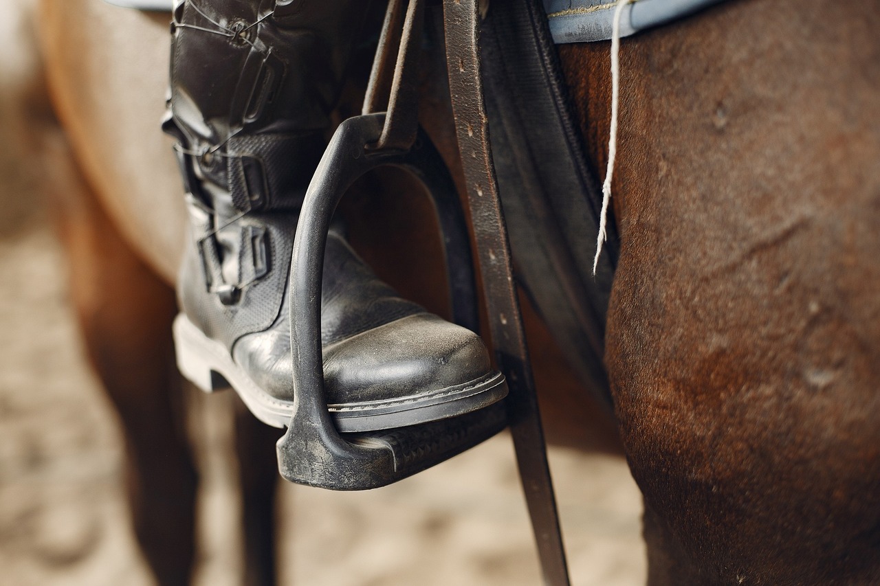Sem esporas, chibatas e armas brancas: MPTO recomenda uma série de medidas para garantir a segurança da cavalgada em Goiatins