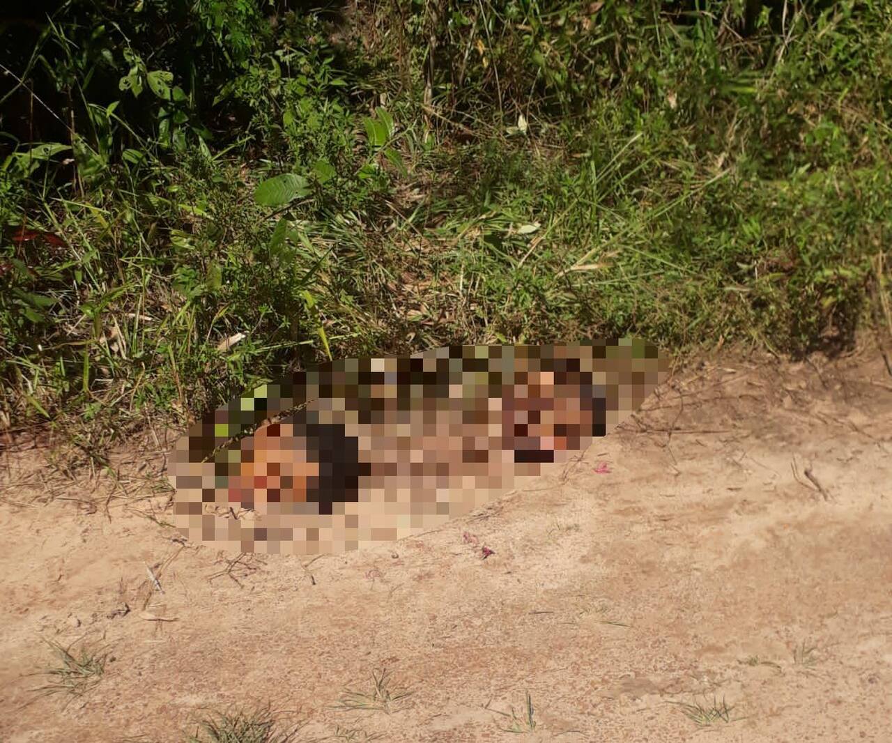 Pesadelo desvendado: Saiba a origem das imagens de homicídios e decapitações que foram compartilhadas nesta segunda (26) em grupos de WhatsApp de Palmas