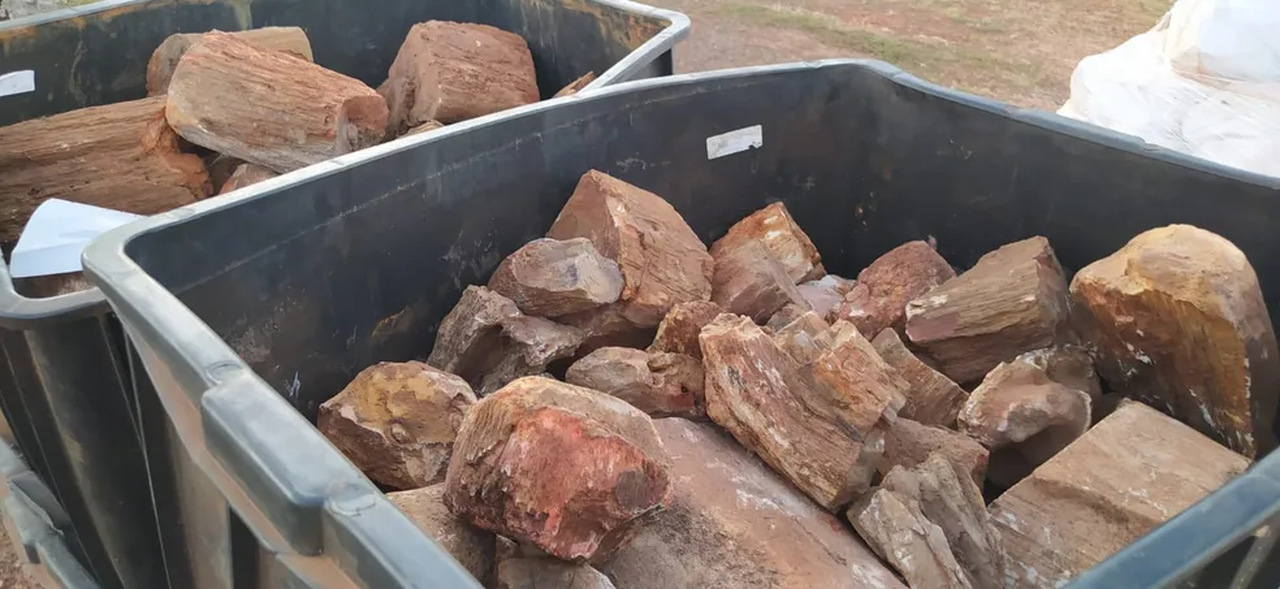 Cerca de 50 toneladas de materiais fósseis de 250 milhões de anos retirados ilegalmente são devolvidos para o Tocantins