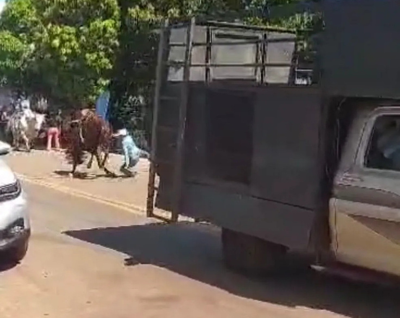 Mulher cai de cavalo desgovernado durante cavalgada de Guaraí; VEJA VÍDEO