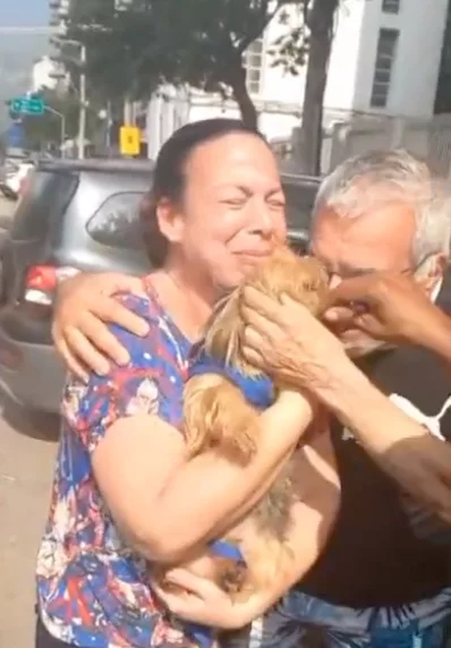 Vídeo: Confira o reencontro dos tutores com cão arremessado de veículo durante acidente no RJ