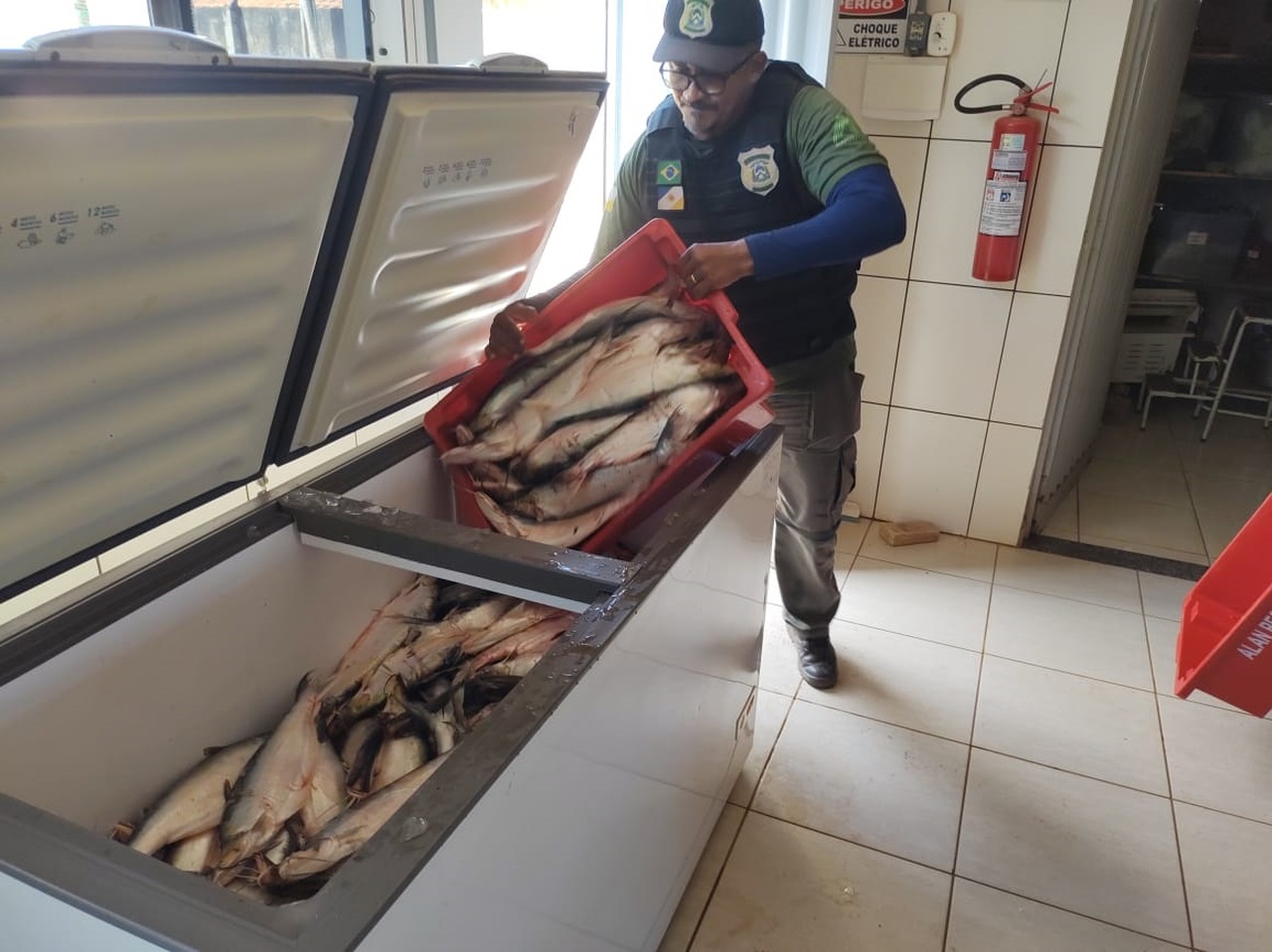 'Operação Malha Fina' no Lago de Palmas realiza apreensão e doação de 880kg de pescado