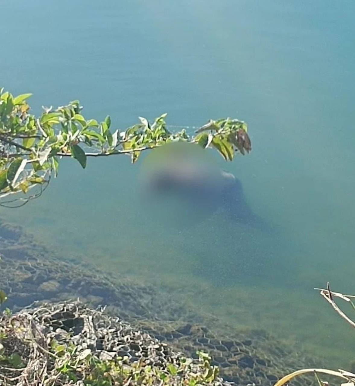 AGORA: Corpo é encontrado boiando no lago de Palmas próximo à ponte FHC; veja detalhes