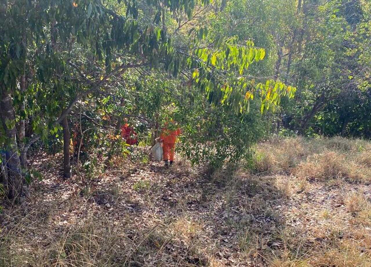 VÍDEO: Vaqueiro encontra corpo em estado avançado de decomposição na zona rural de Colinas do Tocantins
