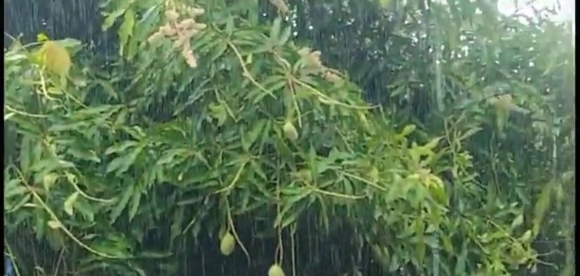 [VÍDEO] Durante onda de calor no Tocantins, chuva é registrada em Araguaína