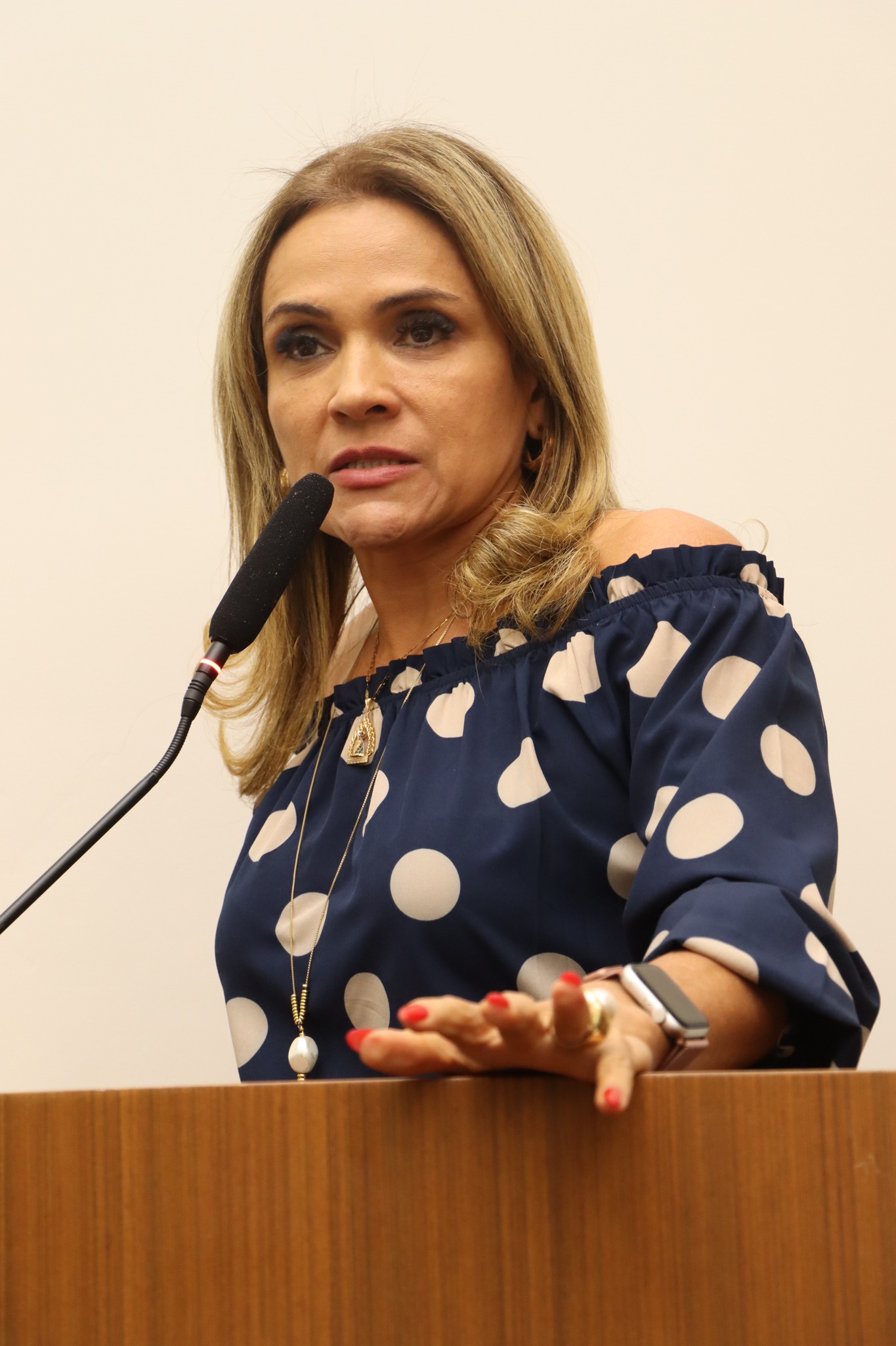 Vereadora Laudecy Coimbra alerta sobre malversação de recursos públicos e conteúdo inapropriado no Festival Gastronômico de Palmas