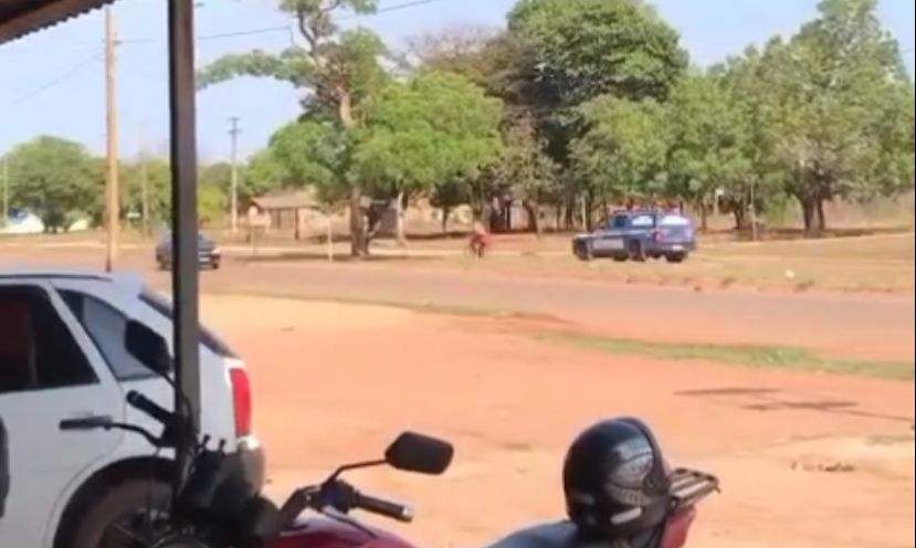 Vídeo mostra viatura da GMP fazendo acompanhamento a motociclista que empreendeu fuga no setor Taquari, em Palmas; ASSISTA